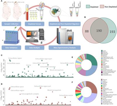 Serum Proteomics Reveals Alterations in Protease Activity, Axon Guidance, and Visual Phototransduction Pathways in Infants With In Utero Exposure to Zika Virus Without Congenital Zika Syndrome